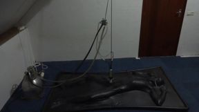 Vacbed milking