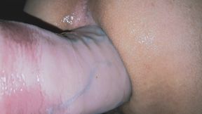 TRYING TO DEVOUR THE FAT GUY AGAIN