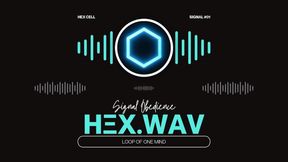 🎧 HEX.WAV 1
