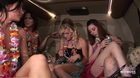 Party girls dressed for Luau get naked in limo