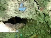 Public cumshot into hole on a ground outdoor