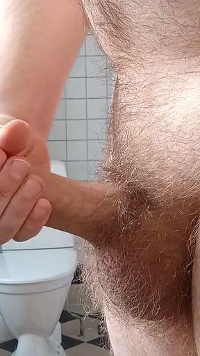 Masturbating Toilet