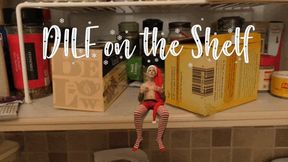 DILF on the Shelf Humiliates You - Richard Lennox - Manpuppy - WMV 720