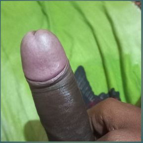 If u r looking bull nearby lucknow thrn dm me