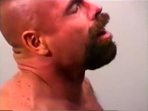 Big Bear Trucking Co. (1999)