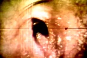 Candy Samples and Friends - (restyling Movie in Full HD
