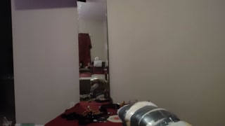 Slut wife facefucked spanked and assfucked while strapped to fuckbench