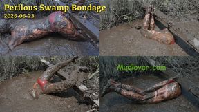 Perilous Swamp Bondage, 2026-06-23