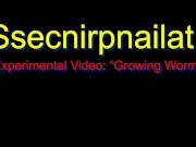SsecnirpNailati‘s Experimental Video: Growing Worm