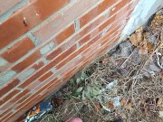 Cop sneaky piss, Jack off and dirty talk to women & cum