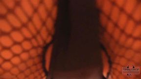 Hot Sinn Sage Poses And Takes Off Her Sexy Fishnet Dress!
