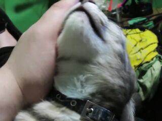 Petting My Lovely