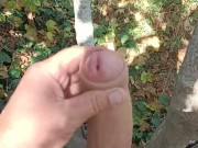 Working on a farm and almost caught masturbating up a tree with cum shot