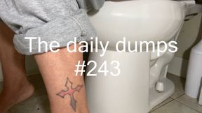 The daily dumps #243 mp4