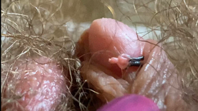 Big clit giantess with model train people extreme close up