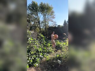 Seed to table