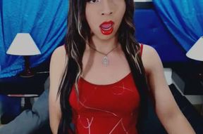 Slutty Shemale Faps her Cock Hard