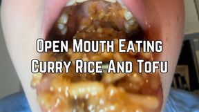 Open Mouth Eating Curry Rice And Tofu 1080p | Messy Eating | Mukbang | Mouth Fetish | Mouth Sounds | Eating Food