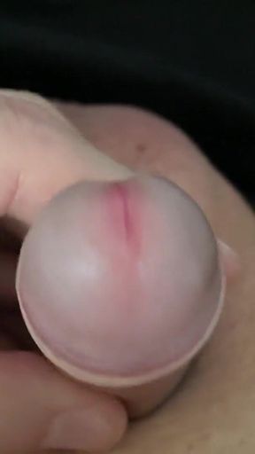 Small Forskin Penis