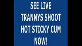 Live Tranny Cum 93