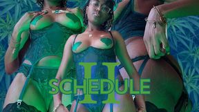 Schedule II