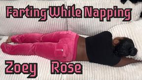 Napping and Farting