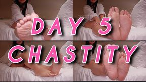 CHASTITY day 5