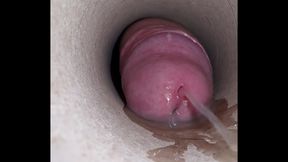 Cum in the tube