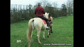 Human Ponyplay in Action