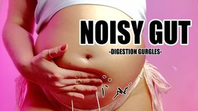 Noisy Gut WMV - Belly Gurgles, Digestion Squelching, and Bubbling Sounds