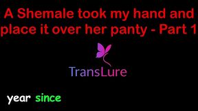 a shemale took my hand and place it over her panty - part 1. english audio sex story
