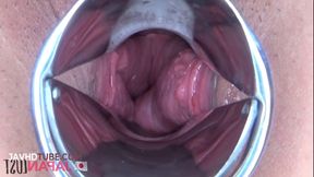 Asian Beauty Hikari Kawanishi Explores Her Shaved Pussy with Toys in Intimate Solo Session