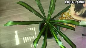 &ldquo_Overhead Plant Cleaning Barefoot Topless Apron Fetish&rdquo_