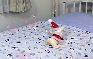 Santa babe sakura sakurada