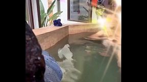 Esposa sumisa consolando amigo de su esposo