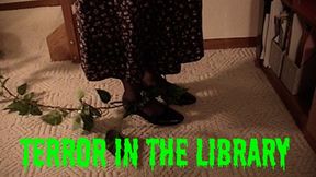 Terror in the Library - SD-540res video