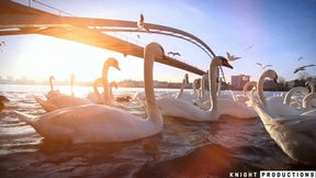 Romi Rain And Brad Knight Have Makeup Sex