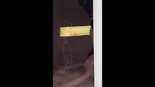 Homemade sex video. Very wet pussy