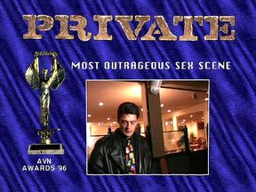 Las Vegas AVN Awards 1996, Report