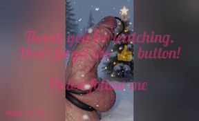 Doggy_Pet_NL First Training Video #1