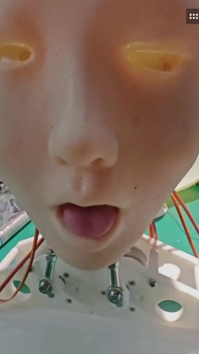 Robot sex doll gets programmed to please her human master