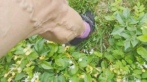 Tempest flexes in honeysuckle