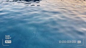 Becoming A Mermaid!