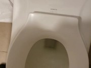 Short standing piss in rest stop toilet - ftm trans