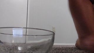 Degrading Slave Task - transporting marshmallows with no hands