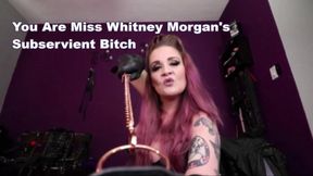 You Are Miss Whitney Morgan's Subserviant Bitch