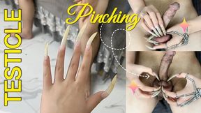 Slave Training Session - Testicle Pinching | LINH'S LONG NAIL | CRAZY ABOUT LONG AND NATURAL NAILS