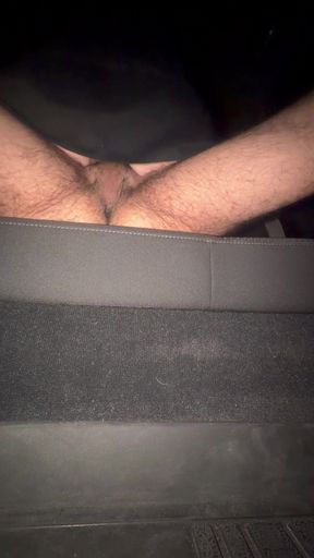 Amateur Bbw fucking and sucking in the backseat