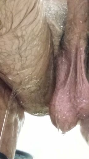 A handsome cock with big, hairy balls is taking a shower and waiting for beautiful, hairy pussies—to stick it inside... sorry, but he really wants to!