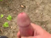 horny in the forest